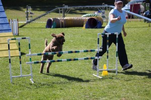 Chase enjoying himself at a Fun Match