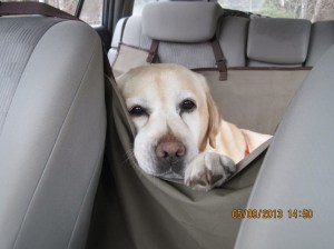 Chant has been working on some shoulder and elbow discomfort.